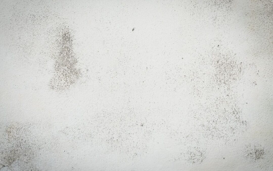 Come rimuovere macchie ostinate e righe da superfici verniciate senza danneggiarle